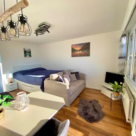 Ferienstudio Mit Herrlicher Berg- Und Talsicht Daire