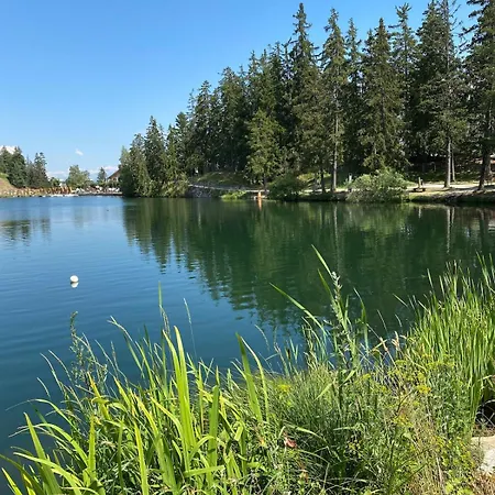 Ferienstudio Mit Herrlicher Berg- Und Talsicht Crans-Montana