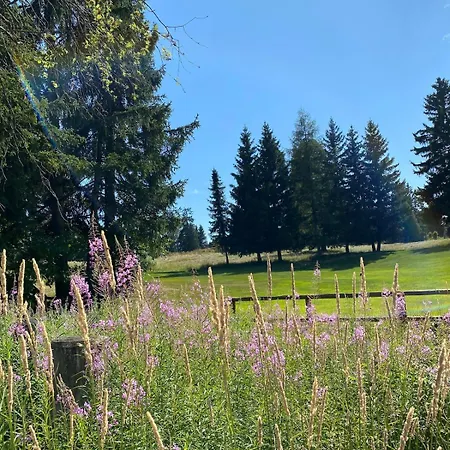 Ferienstudio Mit Herrlicher Berg- Und Talsicht * Crans-Montana