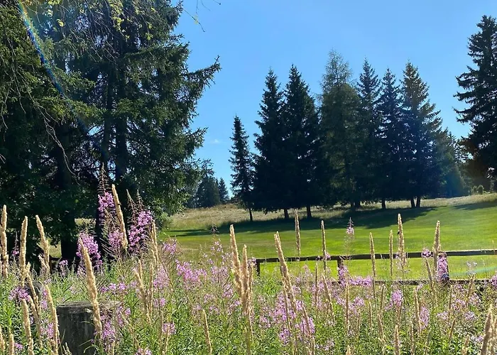 Ferienstudio Mit Herrlicher Berg- Und Talsicht * Crans-Montana